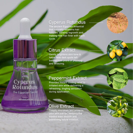 Cyperus Rotundus Skin Serum