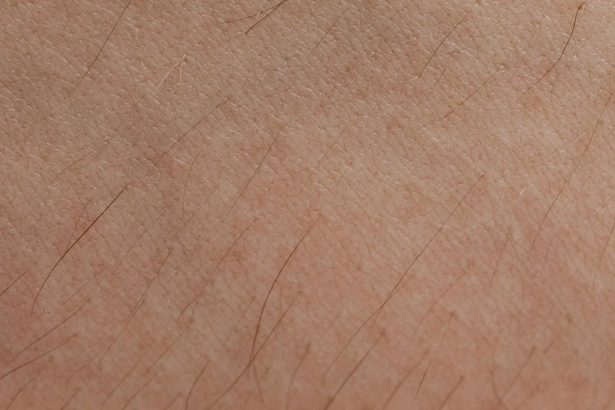 pexels-karolina-grabowska-4046562.jpg